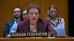 И.о. Постоянный представитель РФ А.М.Евстигнеева на заседании СБ ООН по Украине, 22 июня 2026 года