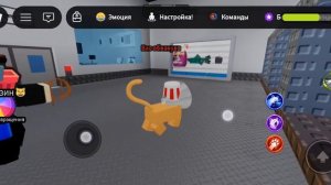 я стала котом в роблокс на 5 дней