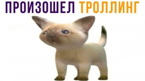 Произошёл троллинг) Приколы