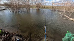 Рыбалка на Карася с удочкой. Приехали и ловим. Рыбка шустрая