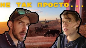 Реальность нашей жизни: радости и головные боли