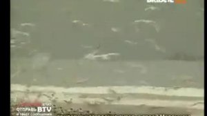 bridge tv