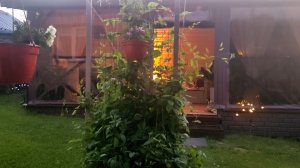 11.06.26.Вечерние посиделки