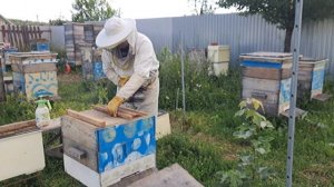 Пересаживаю самого слабого слабыша из пеноулика в дерево и установил магазин
