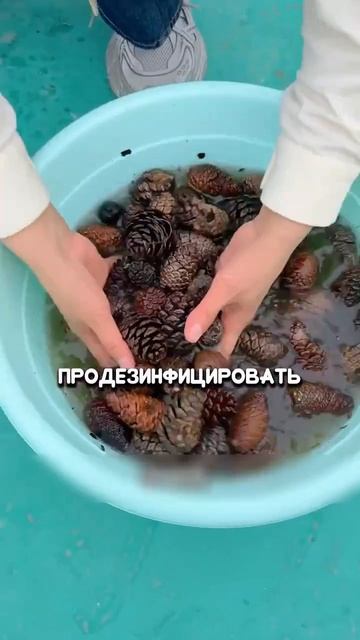 УДачные решения.
