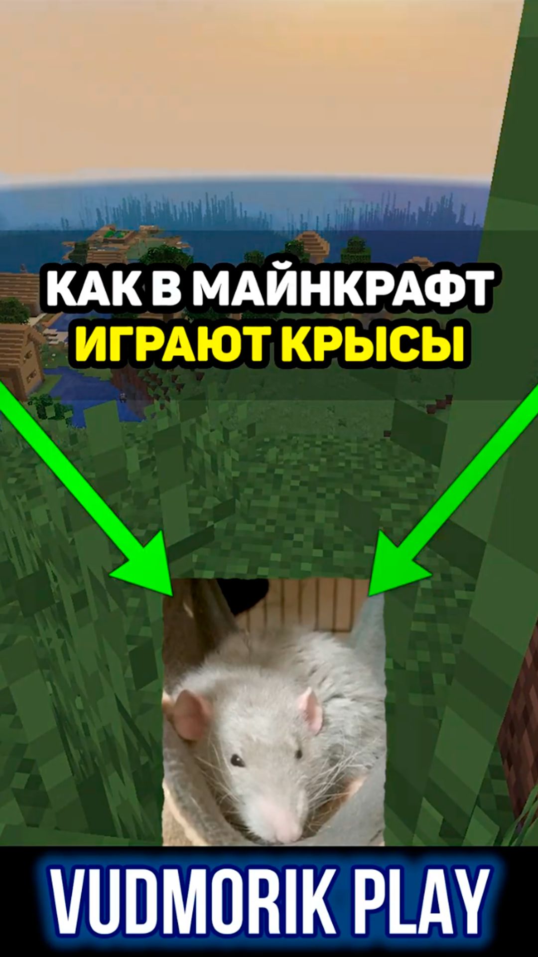 Как крыса играет в майнкрафт #9