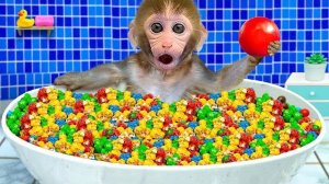 Малышка Обезьянка Bonbon Наслаждается Радужным Мороженым И Собирает Арбузы В Саду, Чтобы Сделать