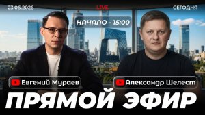 Прямой эфир с Александром Шелестом | 23 июня 2026