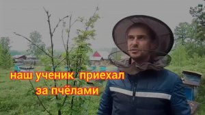 наш ученик (профи ) приехал за пчёлами