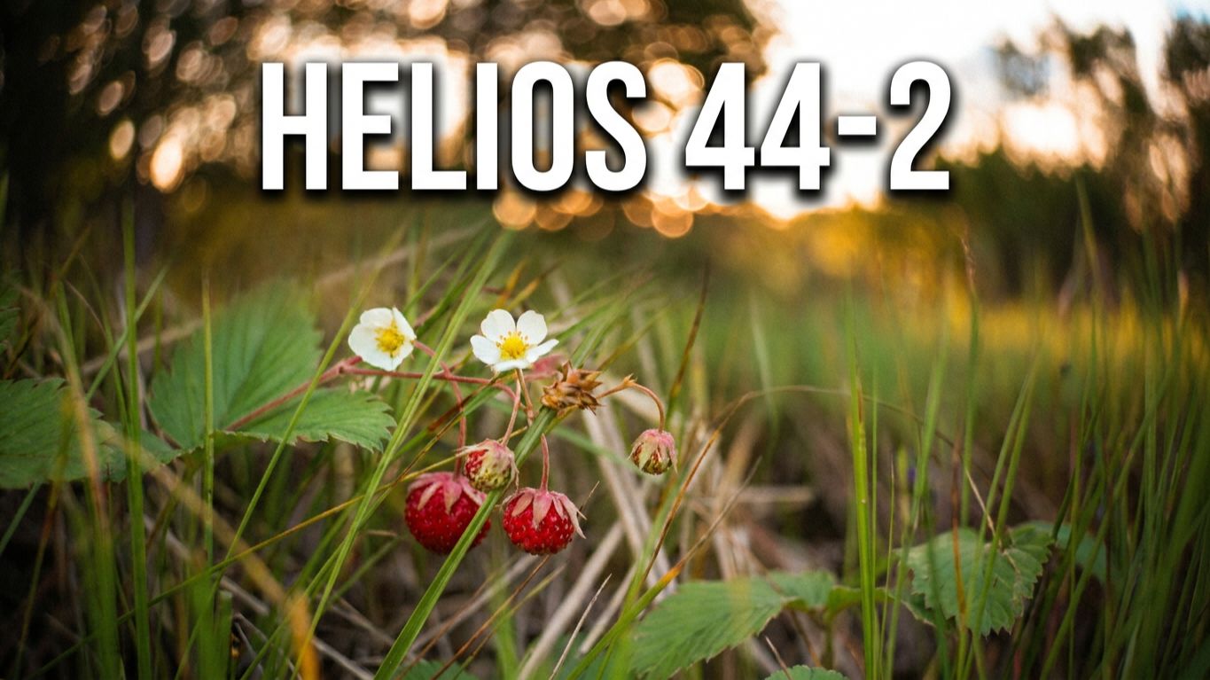 Helios 44-2 Земляничные поляны