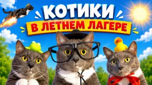 КОТИКИ В ЛЕТНЕМ ЛАГЕРЕ