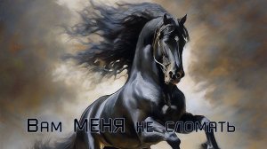 Вам МЕНЯ не сломать  *