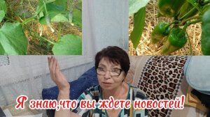 Влог Новости/С Никитой до Wildberries //Как съездила в Абинск в управление на счет д/с для Никиты?!