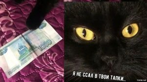 играю в бс