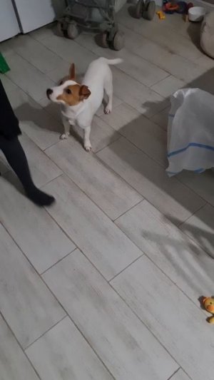 Незабываемые моменты из жизни...