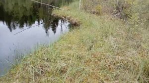 рыбалка на новом месте