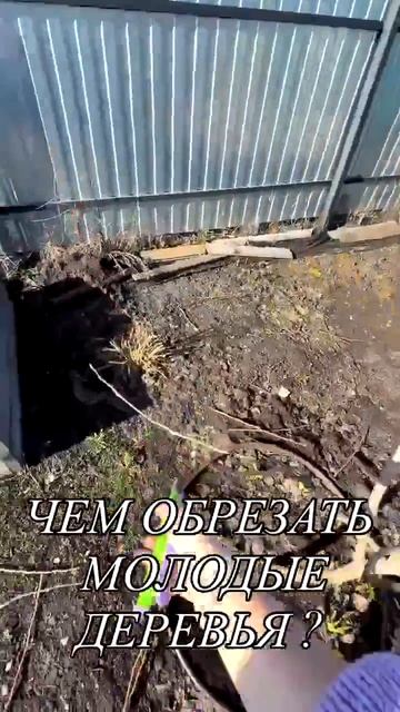 УДачные решения.