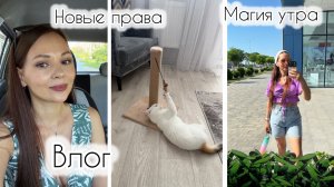 Вот это поворот! 😳 Меняю права 🚘 Алиса и парфюм! Жду вопросов❓