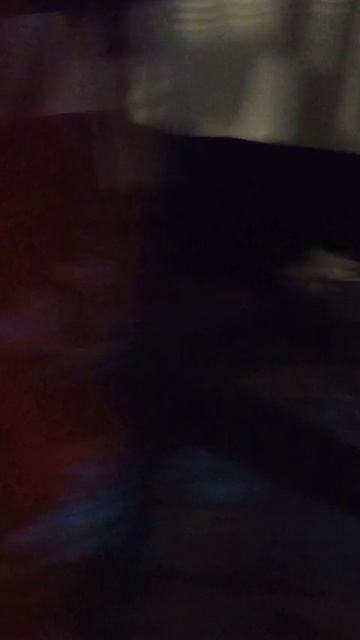 приколы с моей собакой
