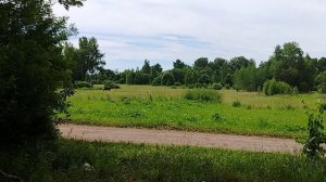 ДЕРЕВЕНСКИЕ БУДНИ🏡. ПРОГУЛКА ПО ГРИБЫ😄.