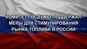 Комитет Госдумы поддержал меры для стимулирования рынка топлива в России
