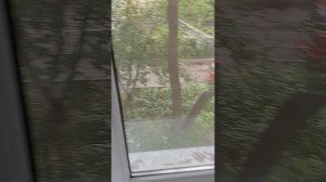 таврическая