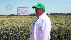 Провел совещание с аграриями Кубани перед уборочной кампанией 2026
