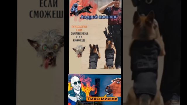 Разносы от Савелия