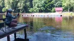 Поимки карпа и линя на верхнем водоёме. Клёвое место, Лосиный остров.