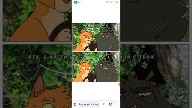 мемы коты воители смотреть онлайн