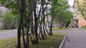 Дорога до работы.Холодно,как зимой.Жду вас в комментариях