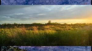 Ночь над Амуром