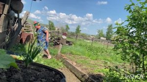 Когда выгнали ,вы зачесались На что рассчитывали?