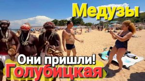 #Голубицкая Пригнало Медуз и Водоросли из Черного моря. Пляж У Бочки и пляж Глэмпинга