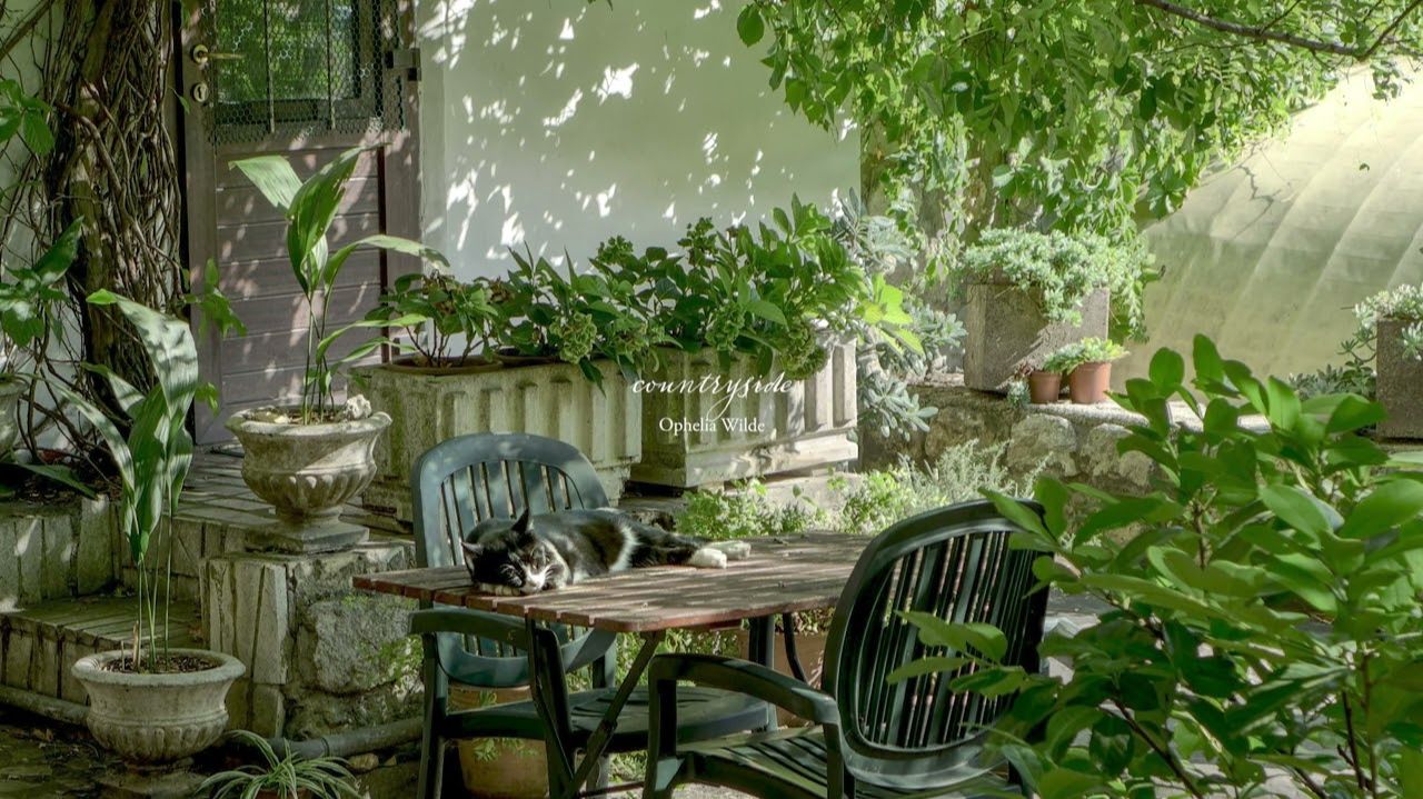 A beautiful morning in a cozy cottage backyard I Relaxing piano music