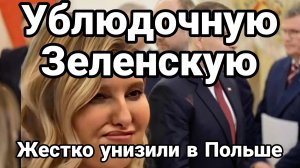 УБЛЮДОЧНУЮ ЗЕЛЕНСКУЮ ЖЕСТКО УНИЗИЛИ В ПОЛЬШЕ