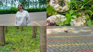 Съездили  в больницу ,встретила подругу ,провожу время с внучкой.