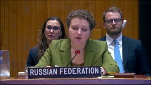 Statement by Anna Evstigneeva at UNSC Briefing on the Central African Republic, June 23, 2026