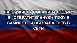 Пассажирка посадила собаку в «отвратительную» позу в самолете и вызвала гнев в сети