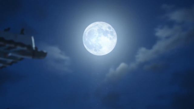 dodree - HAWWAH (夏渦)
