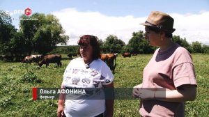 Заботы фермера