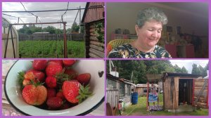 24-06-2026💥Влог💥среда 📖комментарии