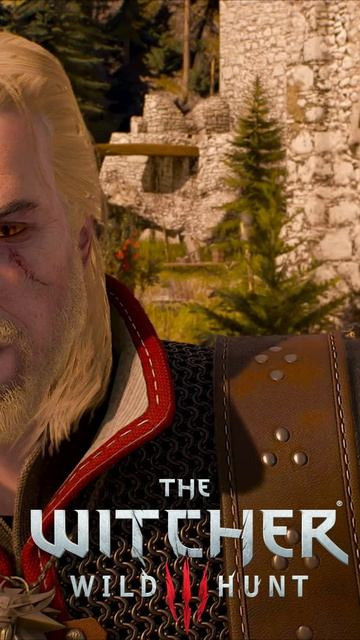 СНЕЖКИ С ЦИРИ. Один старый способ. Геральт подбадривает. The Witcher 3 - Wild Hunt #shorts