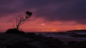IMG_2361