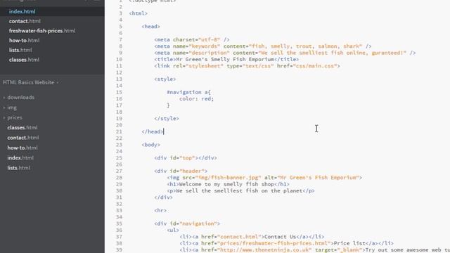 HTML Tutorial for Beginners 15 - Adding CSS to HTML смотреть онлайн
