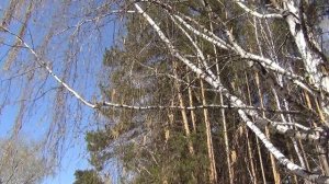 КОГДА ОДИН ИЗ НАС УМРЁТ-1 (Секреты счастья Светланы Ермаковой)