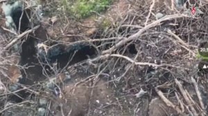 Боевая работа подразделений ВДВ по штурму и зачистке опорного пункта противника