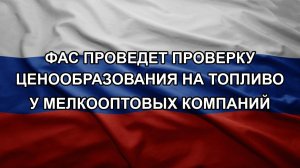 ФАС проведет проверку ценообразования на топливо у мелкооптовых компаний