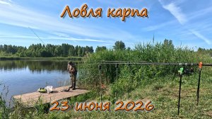 Ловля карпа 23 июня 2026