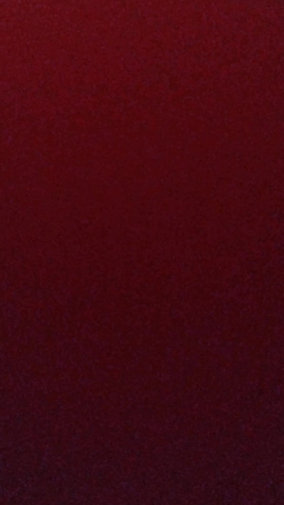 пр смотреть онлайн